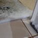 Chuva de pedras de granizo cobre ruas, jardins e atinge casas em cidades de SC; VÍDEO